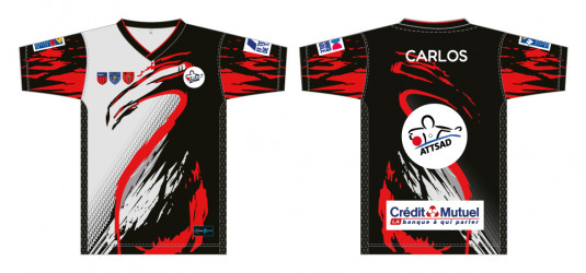 Maillot championnat