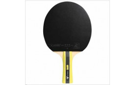 Raquette "Cornilleau Sport 400"
