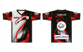 Maillot championnat